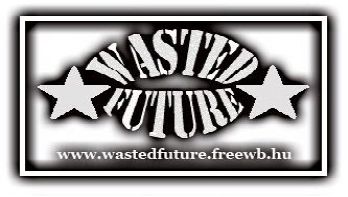 Wasted Future